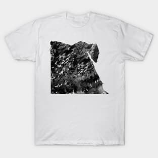 Egypt map T-Shirt